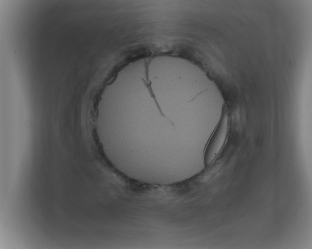 X0000111470961200908101111