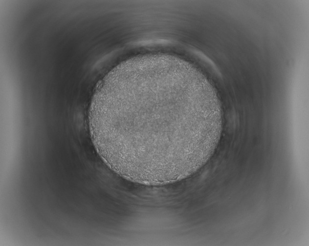 X0000111470966200908101111