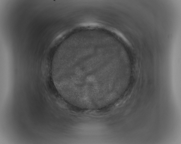 X0000111470967200908101111