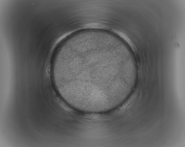 X0000111470971200908101111