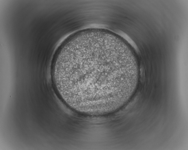 X0000111470972200908101111