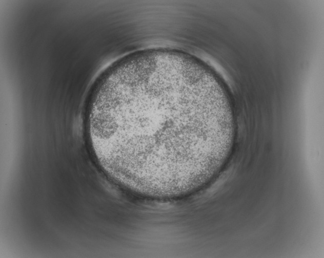 X0000111470975200908101111