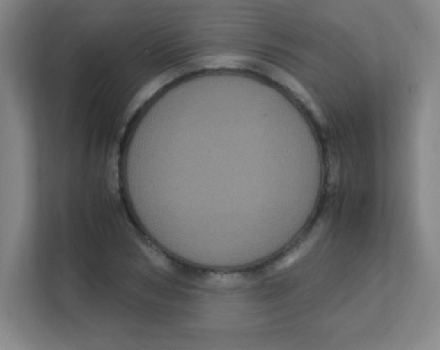 X0000111470978200908101111