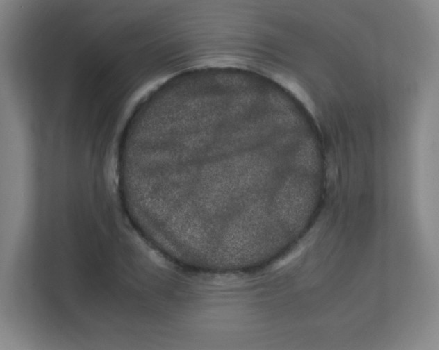 X0000111470979200908101111