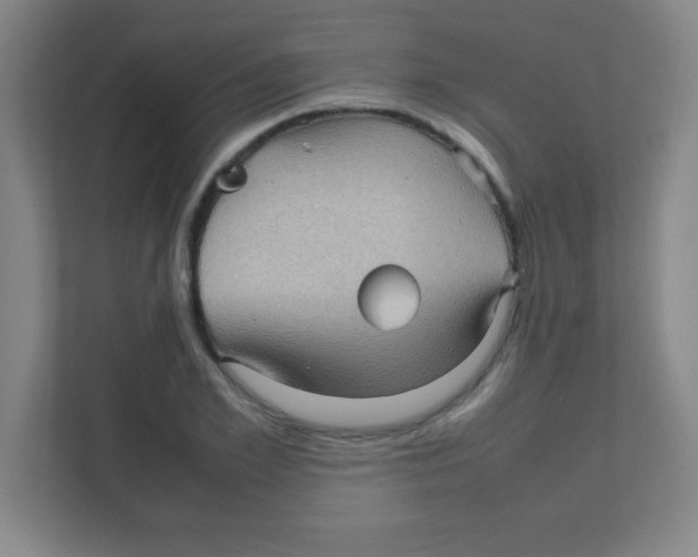 X0000111470981200908101111