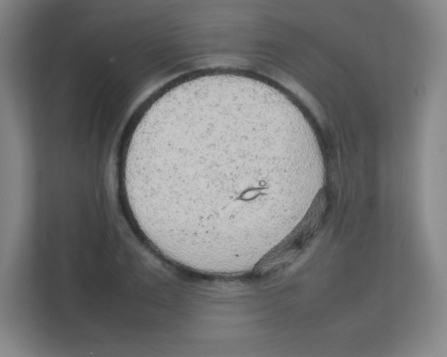 X0000111470983200908101111