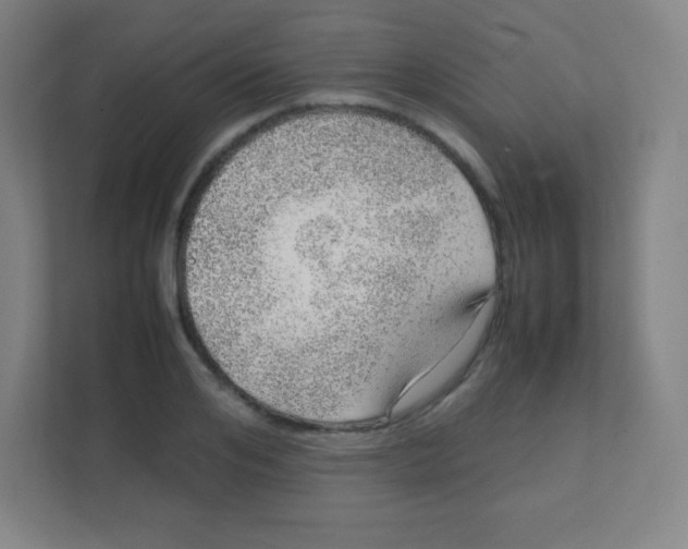 X0000111470984200908101111