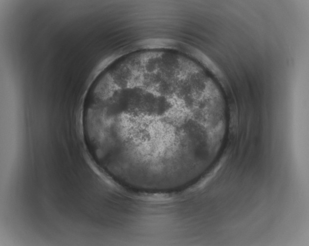 X0000111470986200908101111