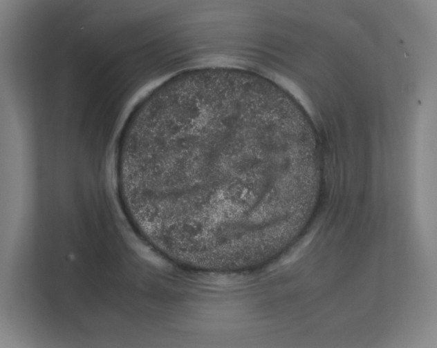 X0000111470987200908101111