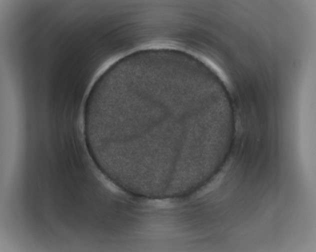 X0000111470990200908101111