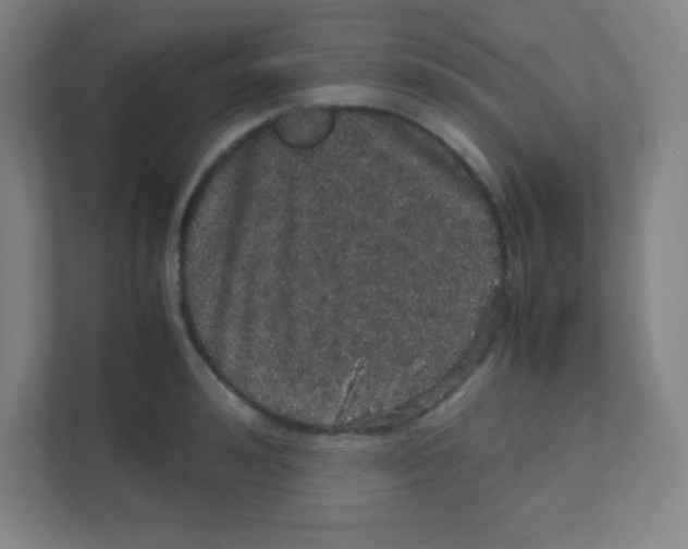 X0000111470992200908101111