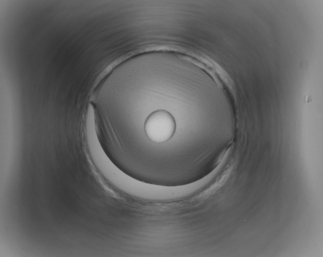 X0000111470993200908101111