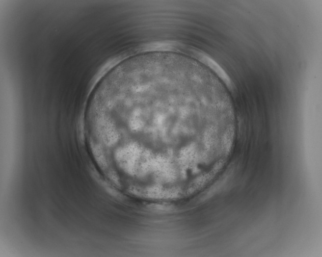 X0000111470994200908101111