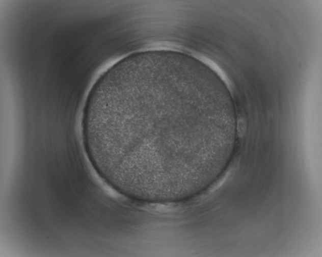 X0000111470995200908101111