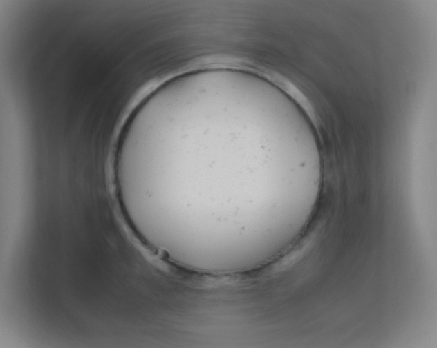 X0000111470997200908101111