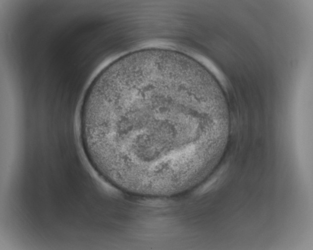 X0000111470999200908101111