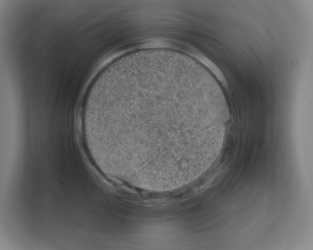 X0000111471000200908101111