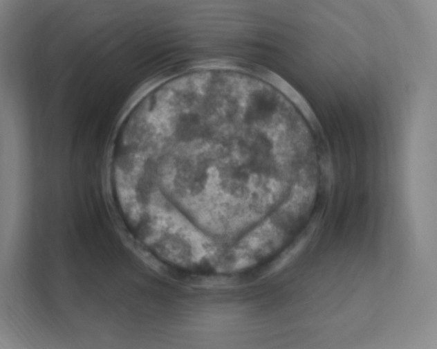 X0000111471002200908101111