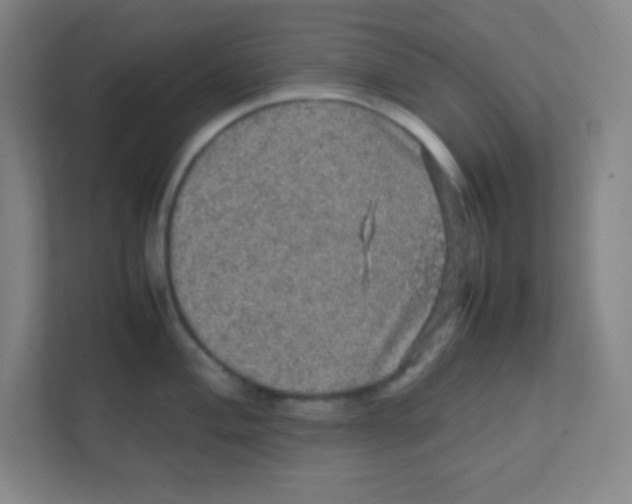 X0000111471004200908101111