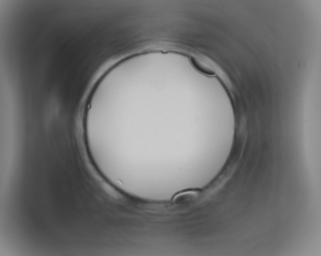 X0000111471005200908101111