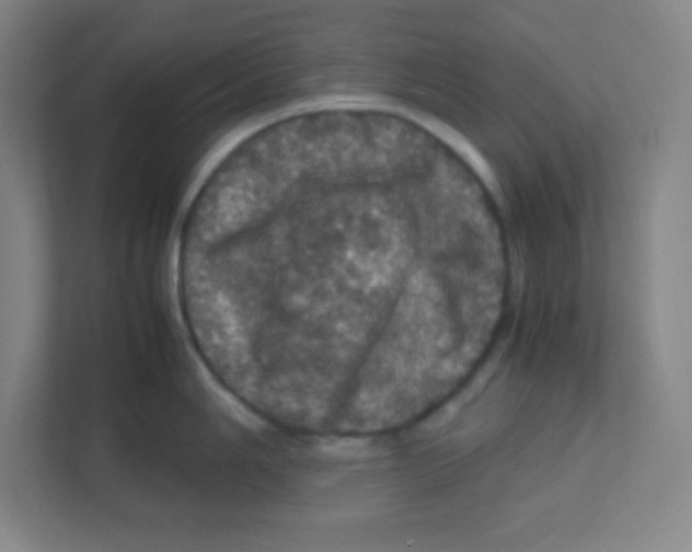 X0000111471006200908101111