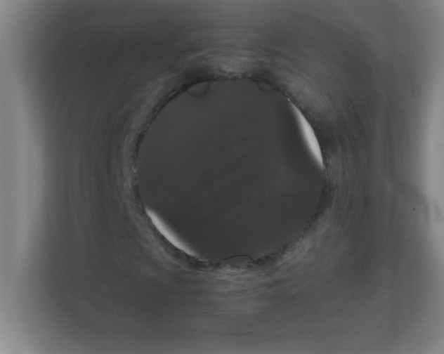 X0000111471009200908101110