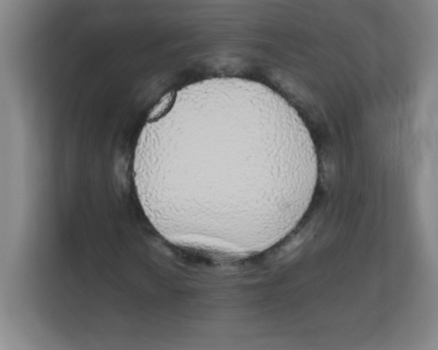 X0000111471010200908101110