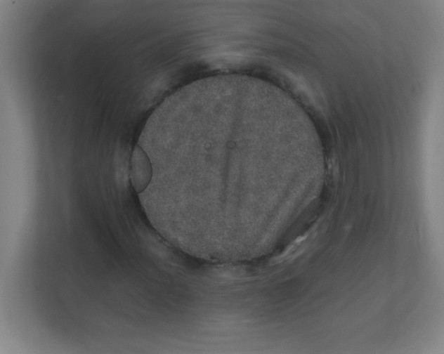 X0000111471012200908101110