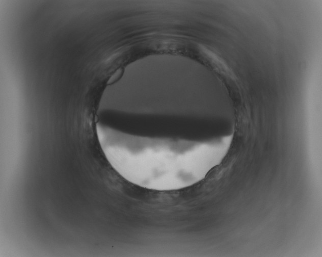 X0000111471013200908101110