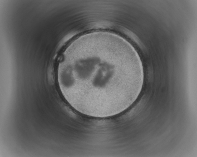 X0000111471018200908101110