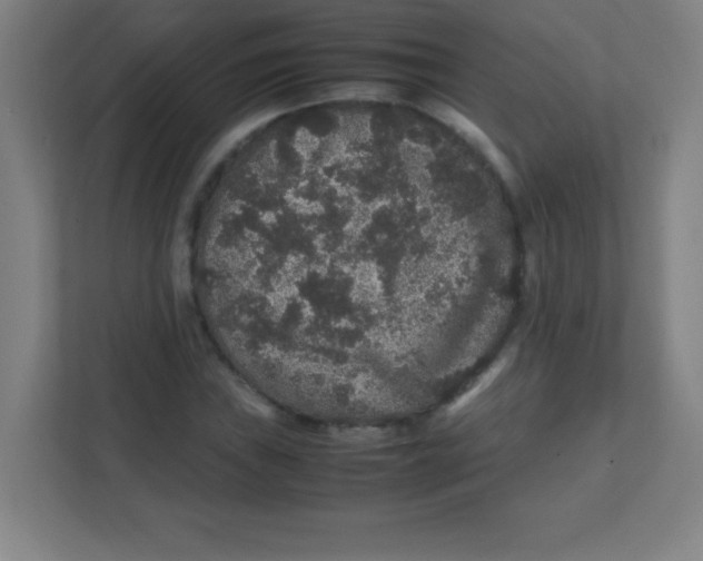 X0000111471019200908101110