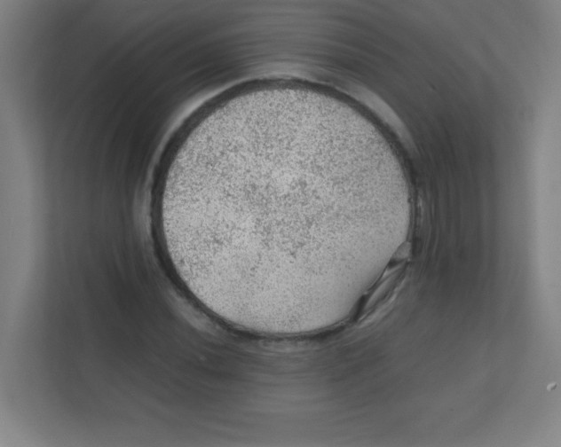 X0000111471020200908101110