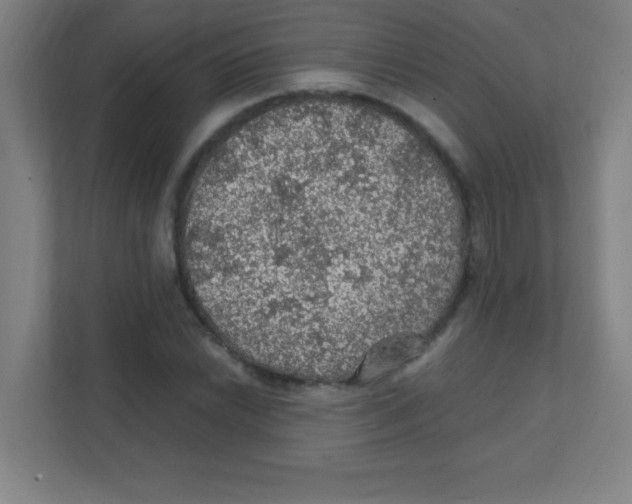 X0000111471022200908101110