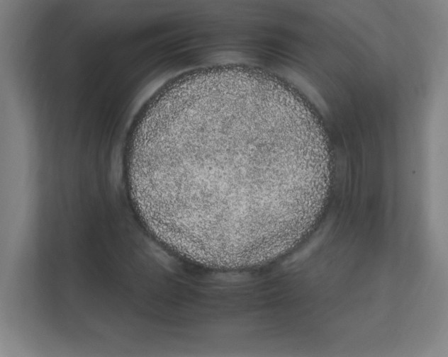 X0000111471023200908101110