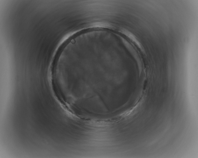 X0000111471024200908101110