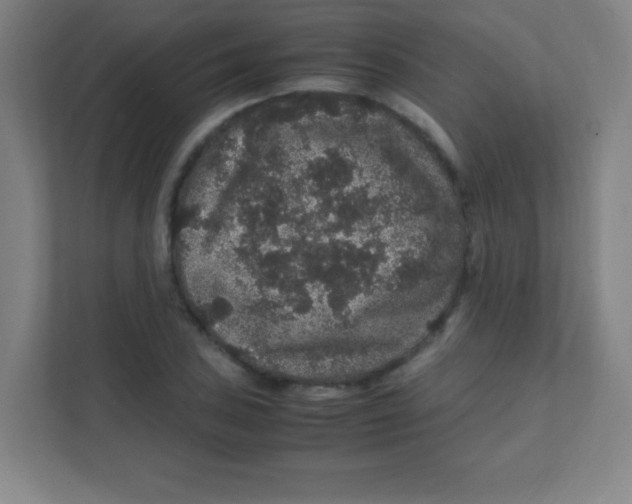 X0000111471027200908101110