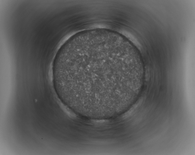 X0000111471031200908101110