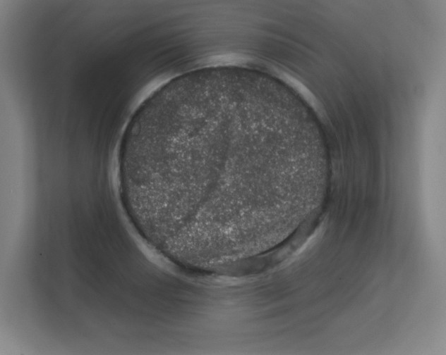 X0000111471034200908101110