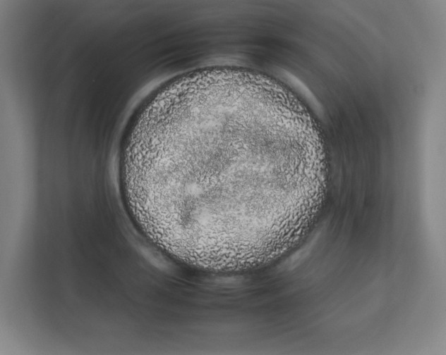 X0000111471035200908101110