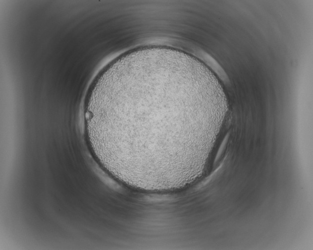 X0000111471036200908101110