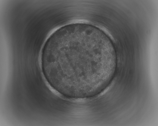 X0000111471038200908101110