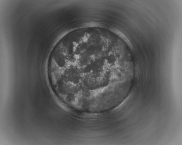 X0000111471039200908101110