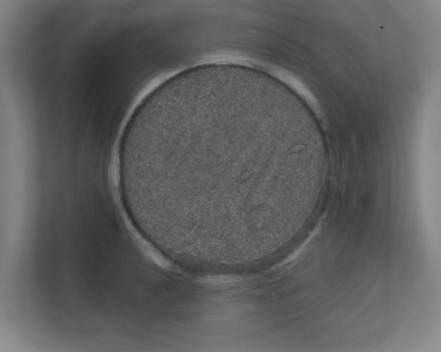 X0000111471040200908101110