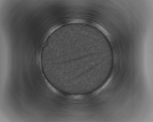 X0000111471041200908101110