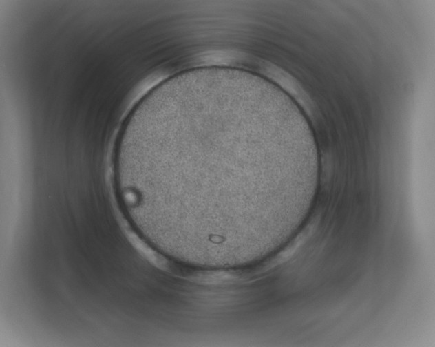 X0000111471042200908101111