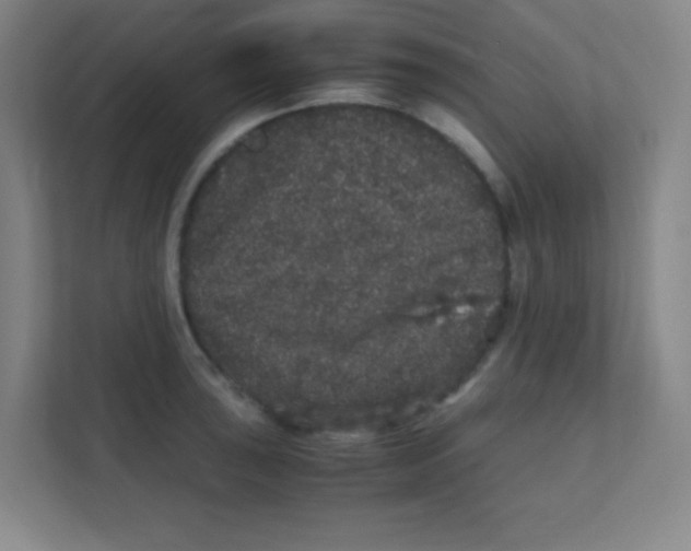 X0000111471043200908101111