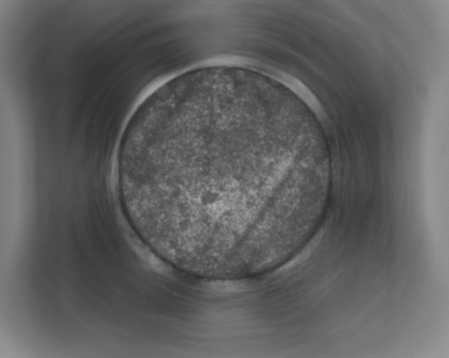 X0000111471044200908101111