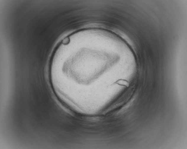 X0000111471045200908101111