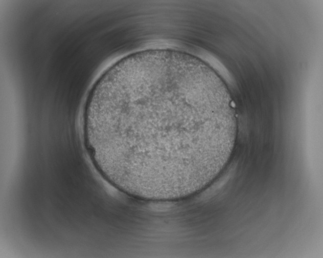 X0000111471046200908101111