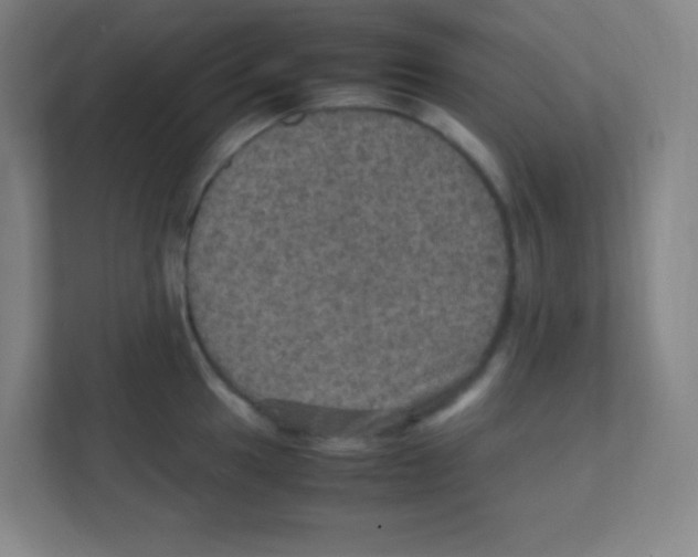 X0000111471049200908101111